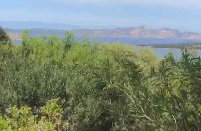 The Emerald Escape - Costa Smeralda Nest In Porto Cervo 公寓 *